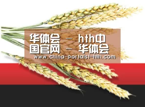 华体会 - hth中国官网 - 华体会首页