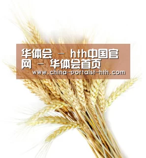 华体会 - hth中国官网 - 华体会首页