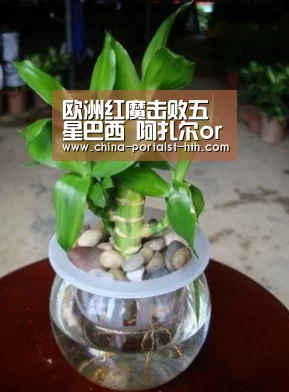 欧洲红魔击败五星巴西 阿扎尔or内马尔 皇马将作何抉择?【华体会,hth,华体会官网】(图3) 华体会,hth,华体会官网