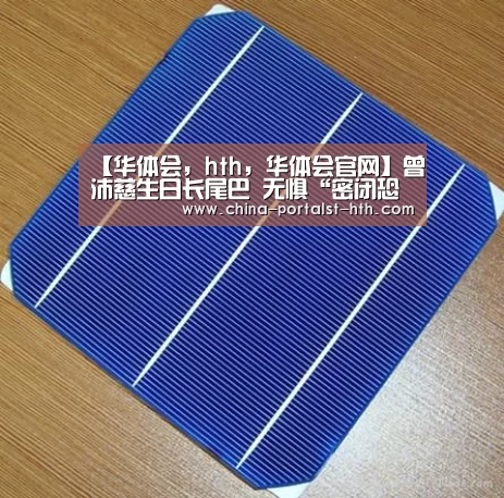 【华体会,hth,华体会官网】曾沛慈生日长尾巴 无惧“密闭恐惧症”勇猛挑战“泡泡足球”(图3) 华体会,hth,华体会官网