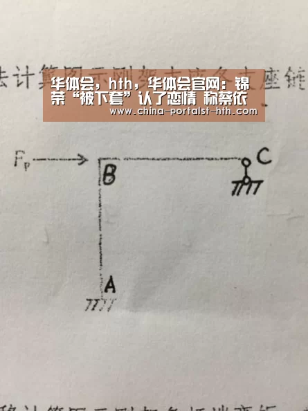 华体会，hth，华体会官网